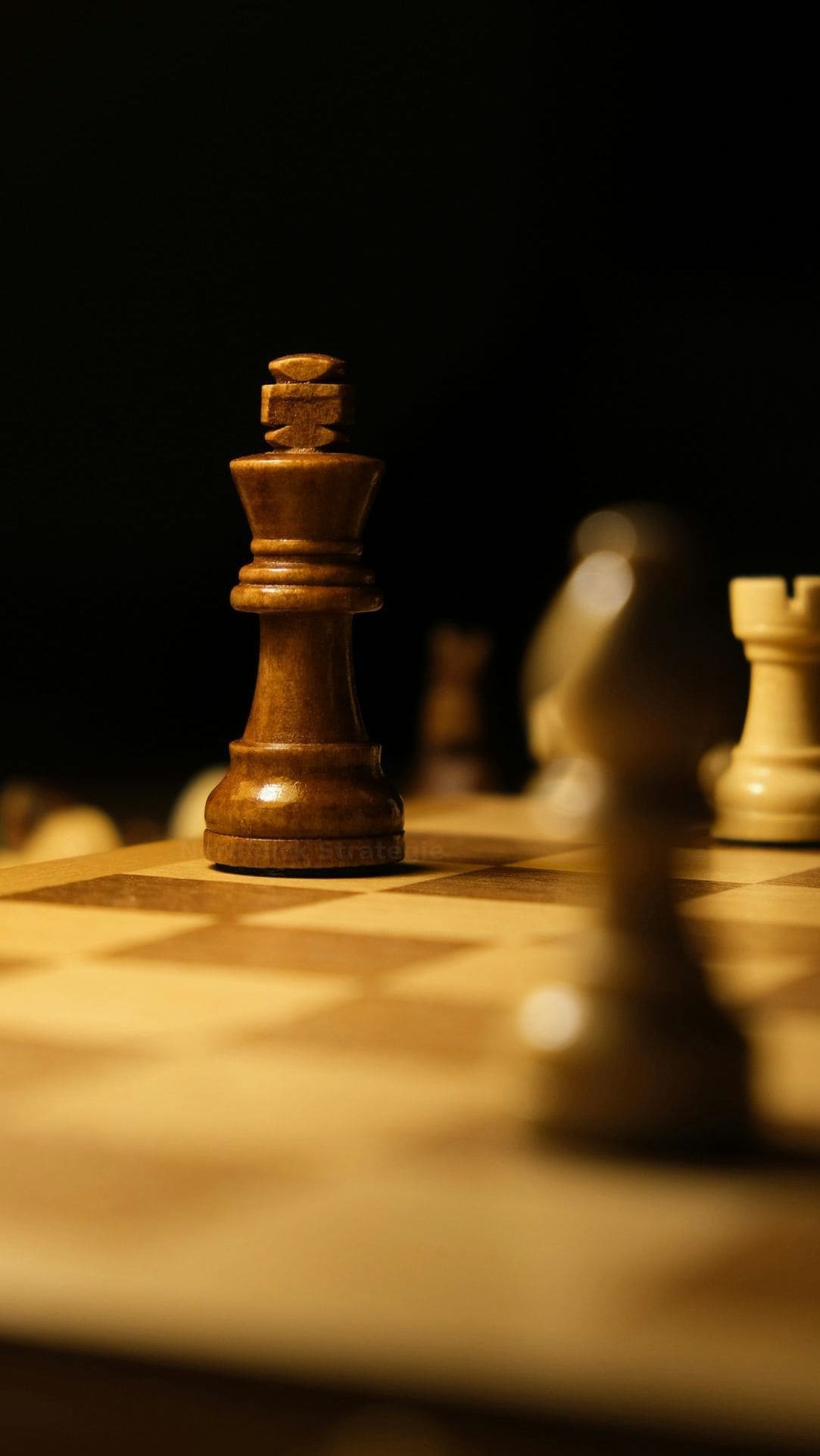 Nordblick Strategie 12