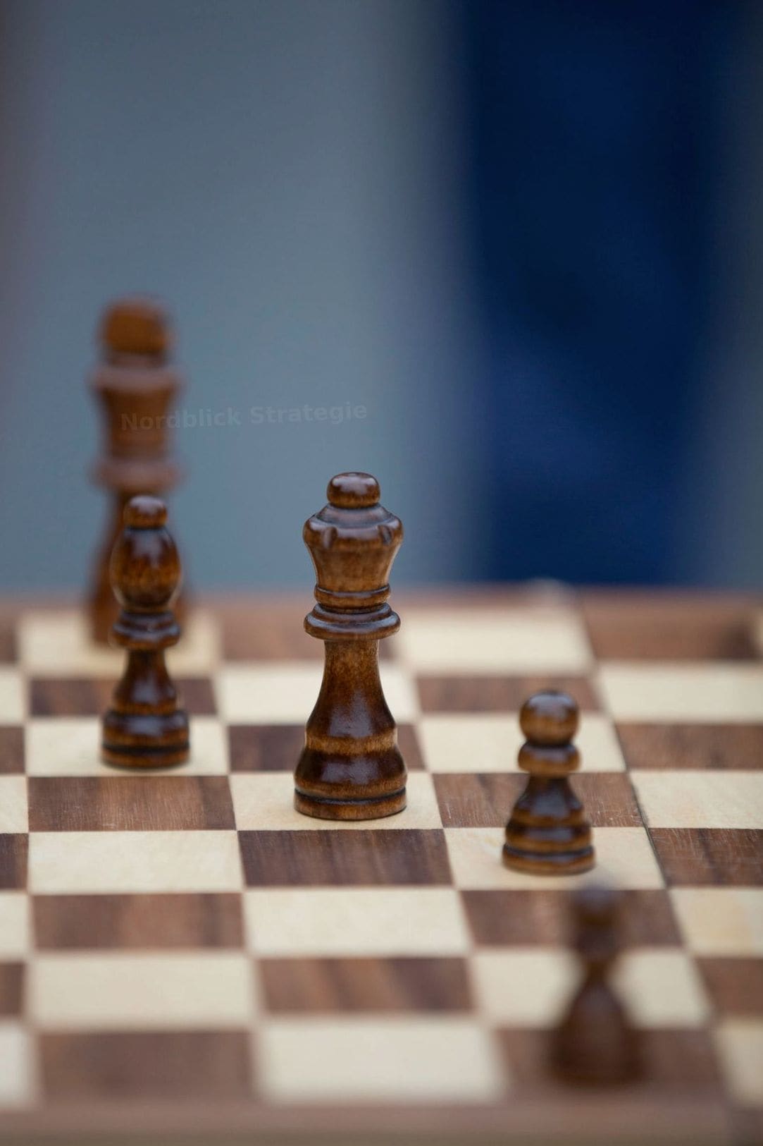 Nordblick Strategie 9