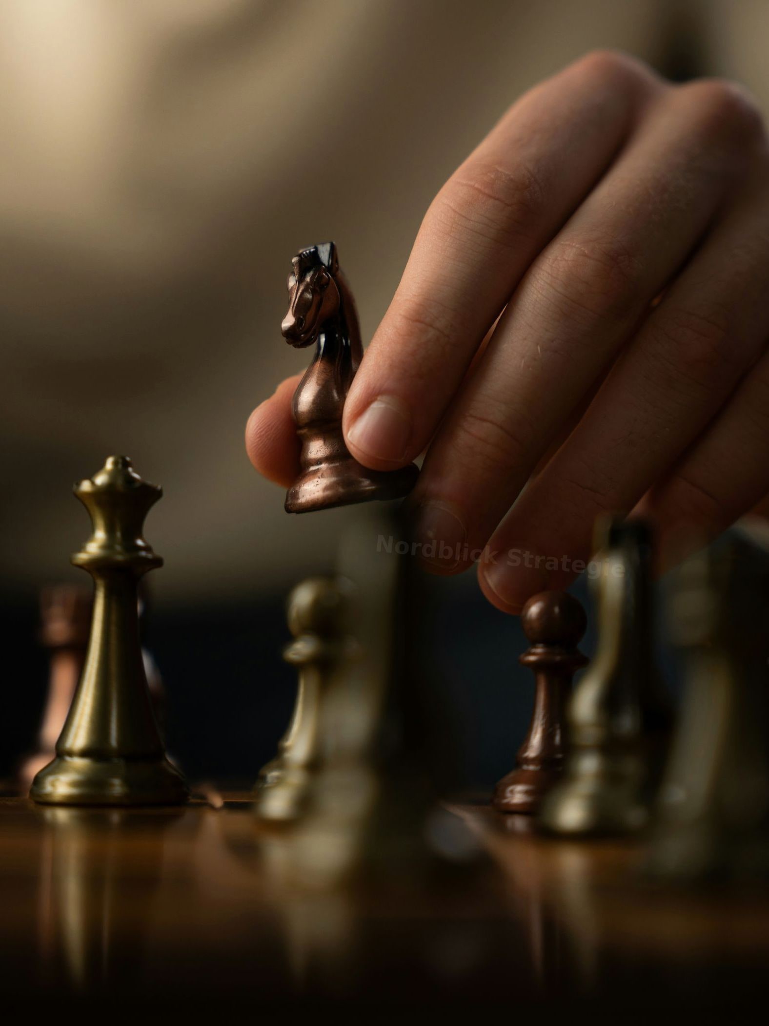 Nordblick Strategie
